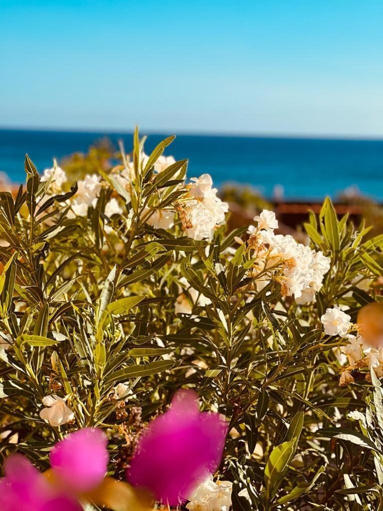 In Playa Calera - Swimming Pool Apartment *