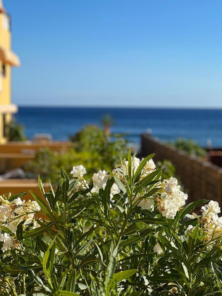 Apartment In Playa Calera - Swimming Pool *